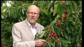 john mcdermott Image 