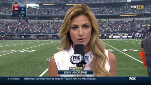 Erin Andrews NFL on Fox Sideline Reporter