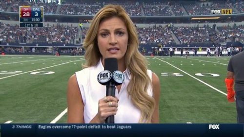 Erin Andrews NFL on Fox Sideline Reporter