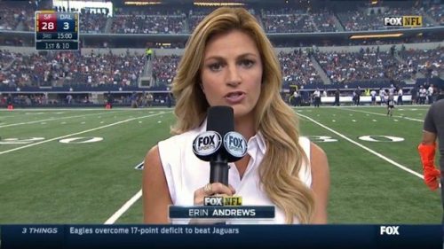 Erin Andrews NFL on Fox Sideline Reporter