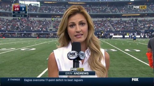 Erin Andrews NFL on Fox Sideline Reporter
