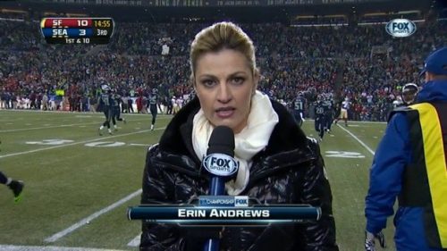 Erin Andrews NFL on Fox Sideline Reporter