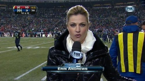 Erin Andrews NFL on Fox Sideline Reporter