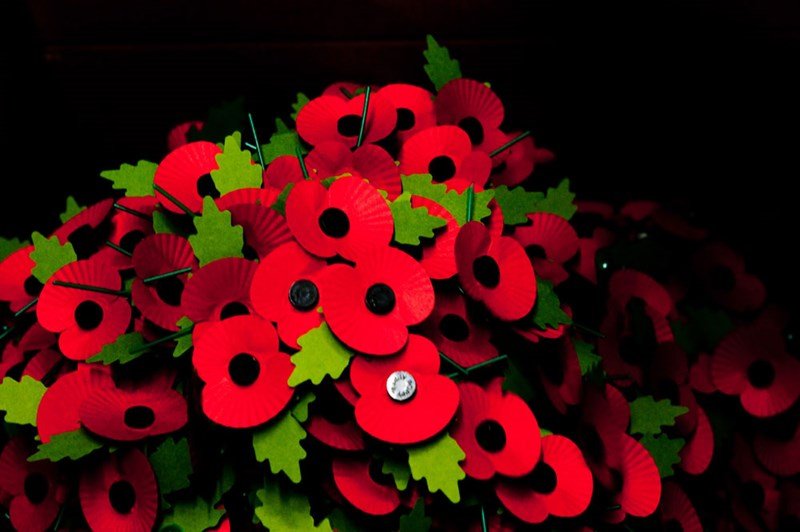 Poppy