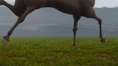 The Crabbies Grand National Festival   April
