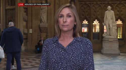 Vicki Young in Houses of Parliament 