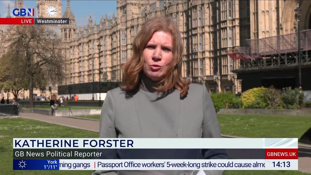 Katherine Forster