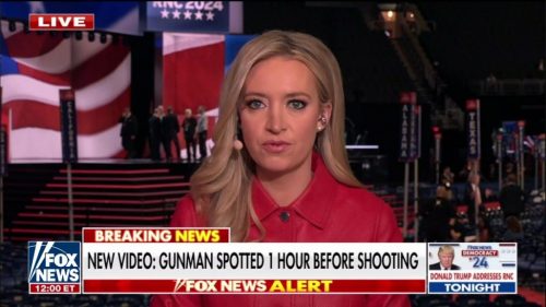 Kayleigh McEnany on Fox News