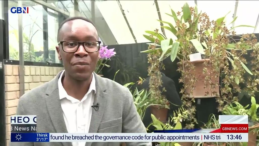 Theo Chikomba on GB News 